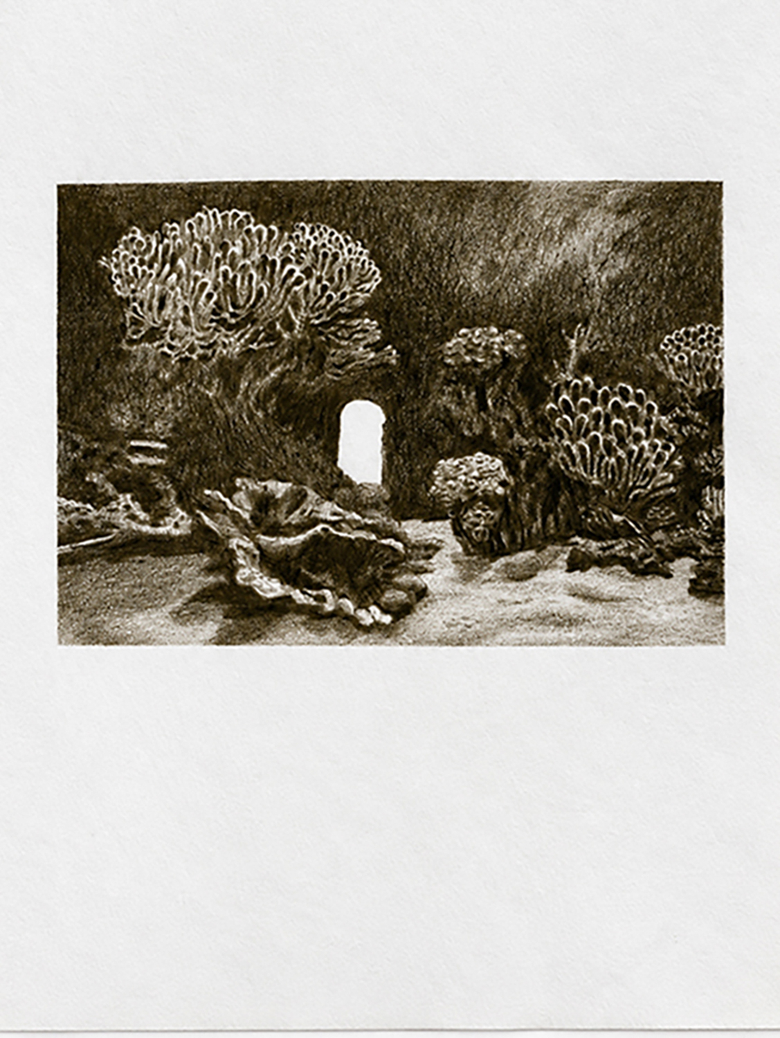 05102026-05102026-NINA HAAB, « I breathe in the sea N.3 », 2026, 1400 x 100 PX